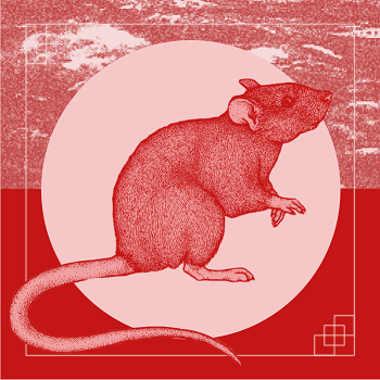 Rat Chinese Horoscope Today Astrology Rat Chinese Horoscope Today Astrology