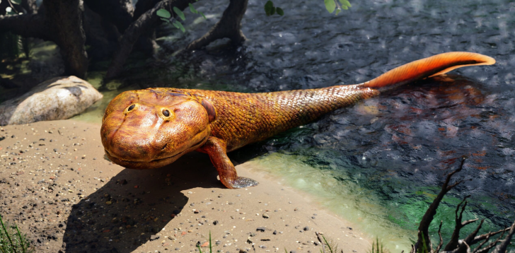 Tiktaalik