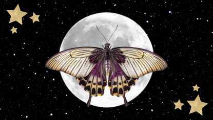 2025 Vedic Horoscope