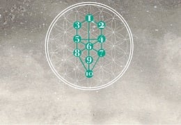 Tree Of Life Tarot