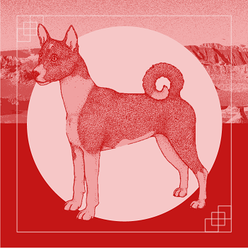 Dog Chinese Horoscope Today Astrology Dog Chinese Horoscope Today Astrology