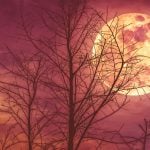 September 2026– A Month of Integration, Intensity and New Directions