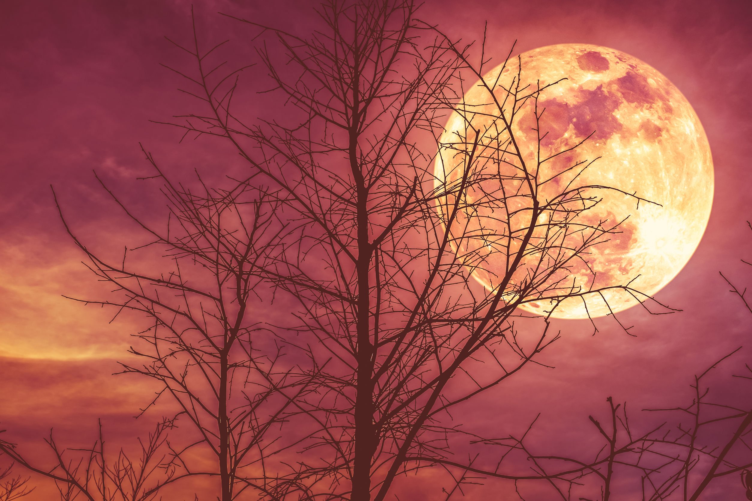 Why the Aries Full Moon Wants You to Chill the Hell Out in September