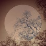 November 2025 Astrology: Surrender to the Unexpected