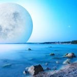 2026: Best Mantras, Meditations, and Magic to Harness Your Full Potential