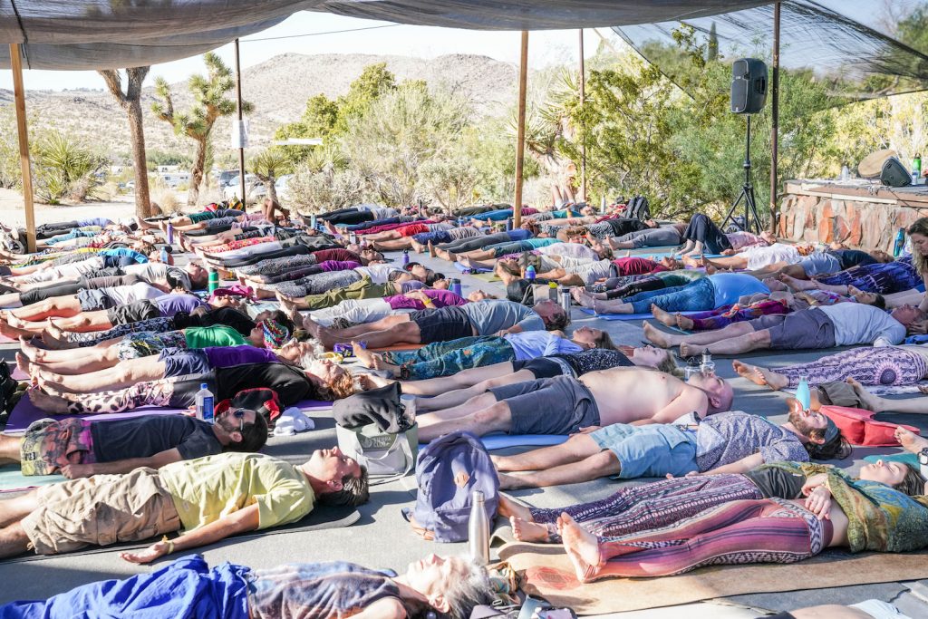 transformational festivals 2019 bhakti fest