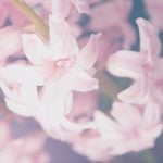 The Calm Before the Plot Twist: May 2026 Astrology Forecast