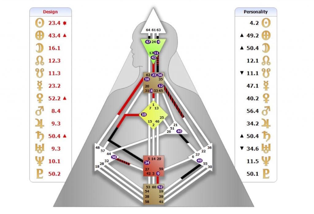 body graph