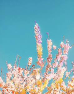 weekly-horoscope-march-23-2026-to-march-29-2026