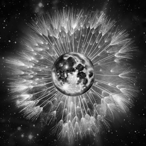 new-moon-in-virgo-time-to-tend-your-garden