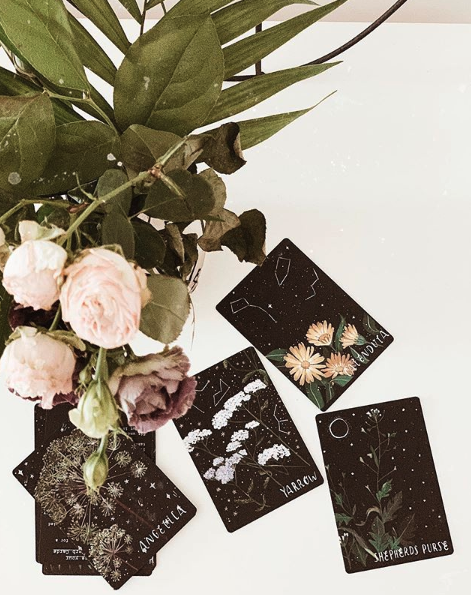 Your Scorpio Season Tarot Pull Is Here to Help You Rise Above and Bloom