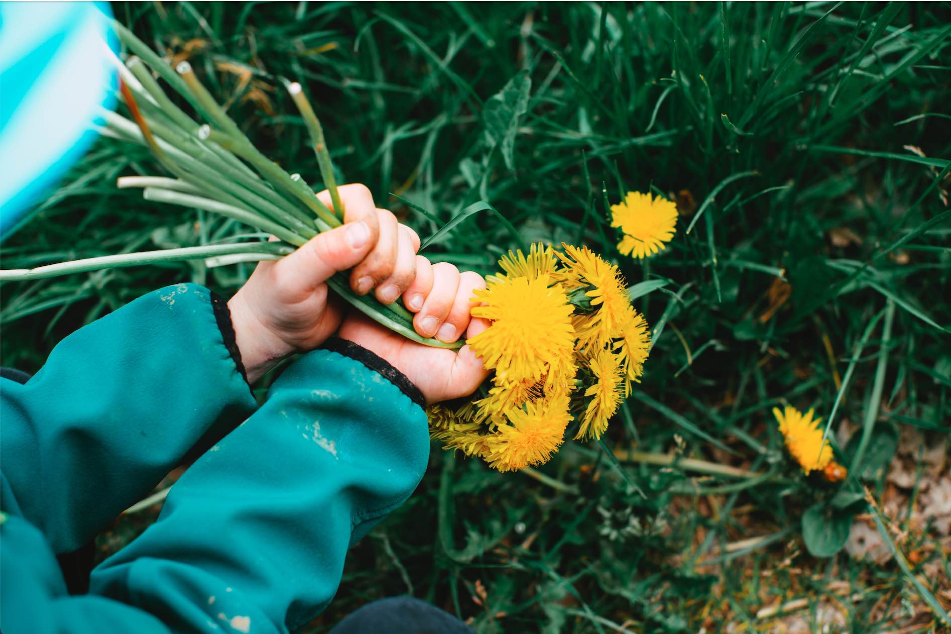 Jupiterian Plants Are All About Abundance and Growth—Just Like Their Planetary Ruler