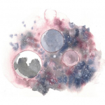 January 2026: A New Chapter Begins