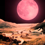 Old Wounds, New Wisdom: Chiron Retrograde in Taurus Explained