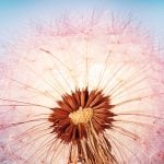 Spring Equinox: How to Harness the Energies