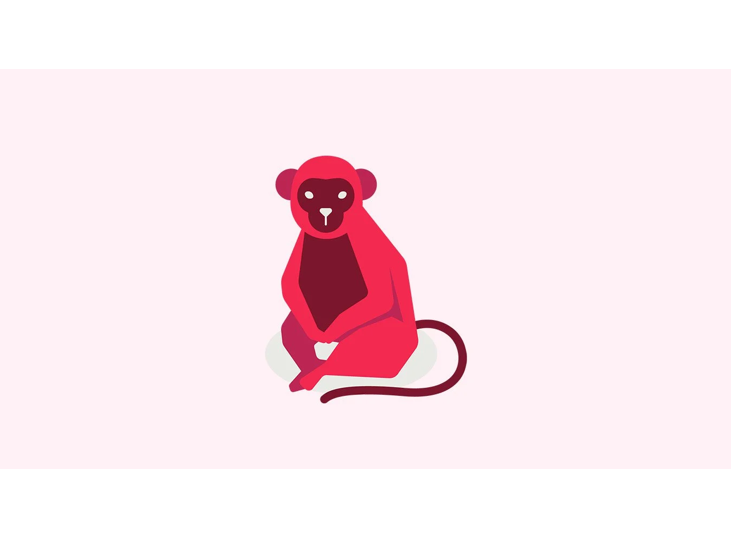 Monkey