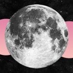 North Node vs. South Node: Understanding the Dragon in Your Birth Chart