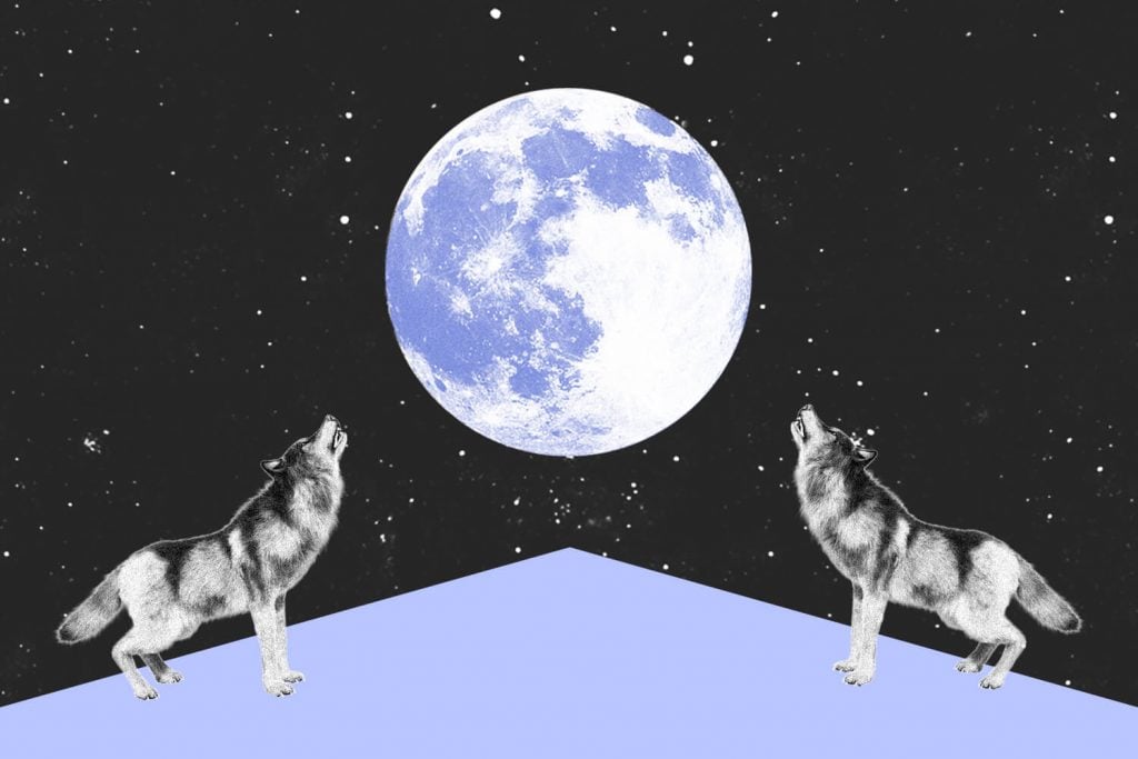 full moon Wolf Moon