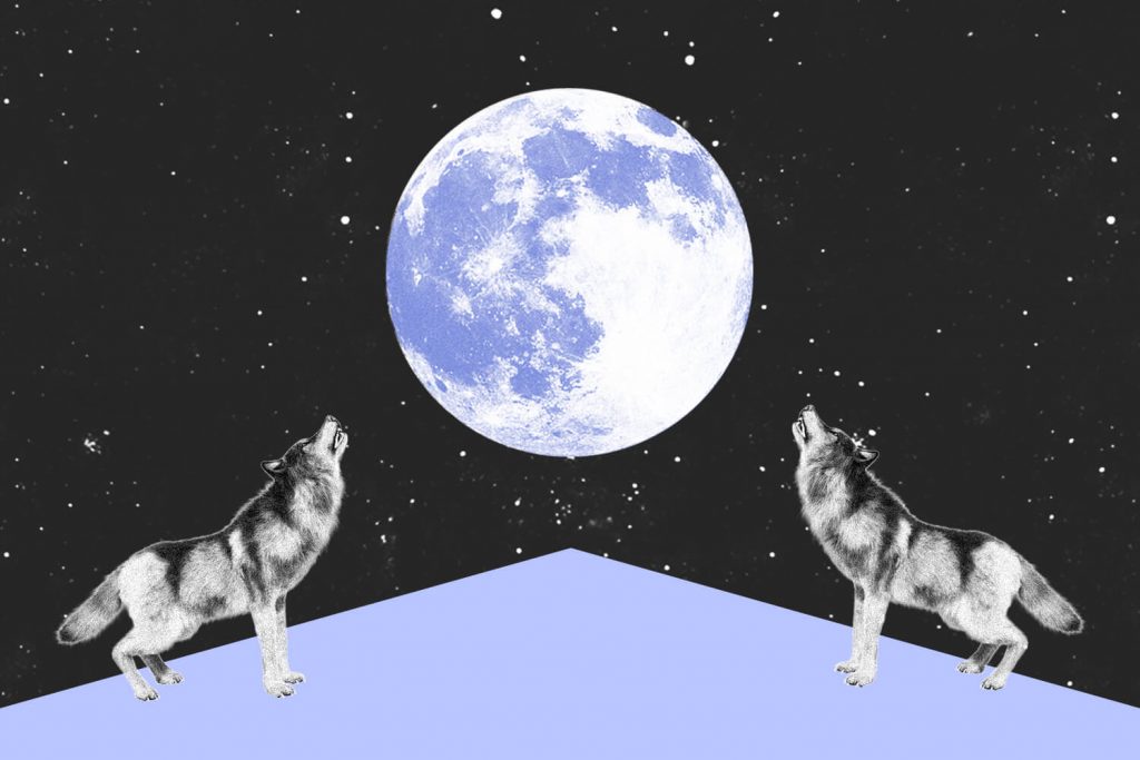 Named Full Moons - The Twelve Named Full Moons of the Year