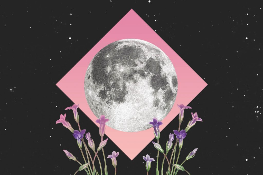 full moon Pink Moon