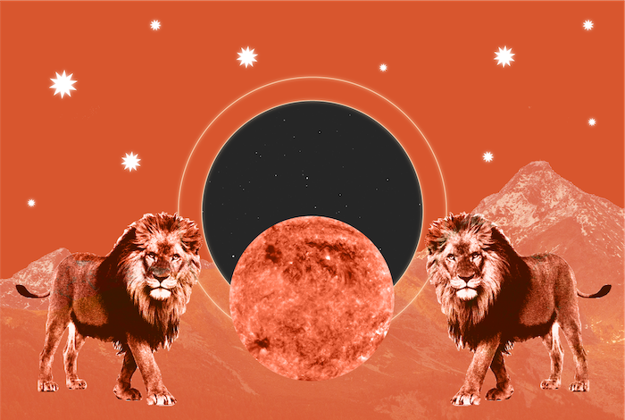 Why This Year’s Lion’s Gate Portal Is the Best Time to Manifest