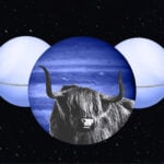 November 2026 Astrology: The Calm Before the Next Big Chapter