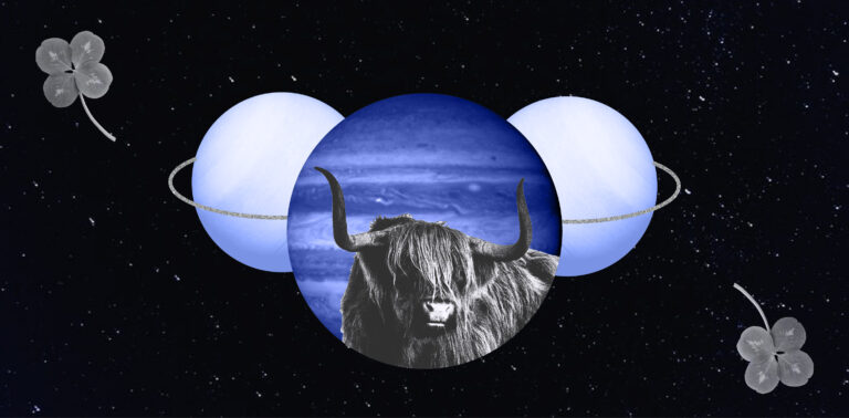 november-2026-astrology-calm-before-next-chapter