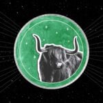 The Taurus New Moon Has Us Planting New Seeds