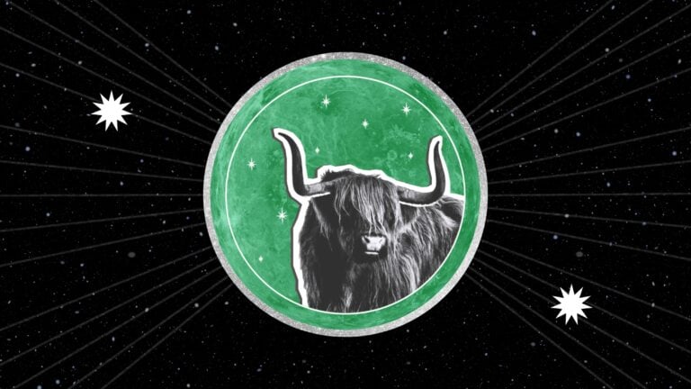 the-taurus-new-moon-has-us-planting-new-seeds
